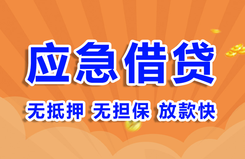 大额空放贷款